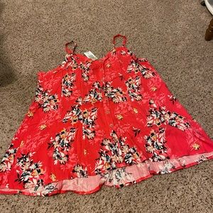 ☀️Summer is what summer does!